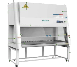 picture4 removebg preview